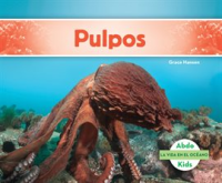 Pulpos__Jellyfish_