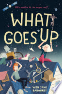 What_goes_up