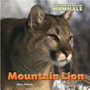 Mountain_lion