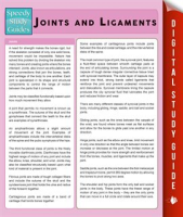 Joints_and_Ligaments