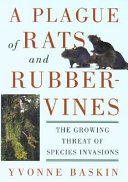 A_plague_of_rats_and_rubbervines