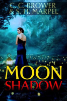 Moon_Shadow