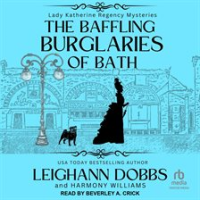 The_Baffling_Burglaries_of_Bath
