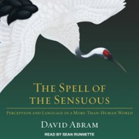 The_Spell_of_the_Sensuous