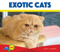 Exotic_Cats
