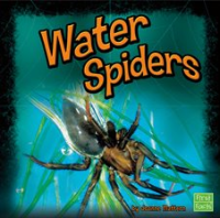 Water_Spiders