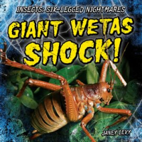 Giant_Wetas_Shock_