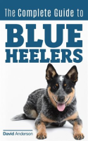 The_Complete_Guide_to_Blue_Heelers_-_aka_The_Australian_Cattle_Dog__Learn_About_Breeders__Finding