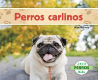 Perros_carlinos__Pugs_