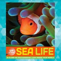 Sea_Life