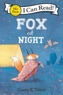 Fox_at_night