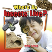 Where_Do_Insects_Live_