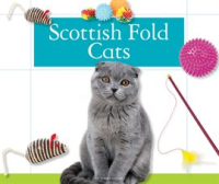 Scottish_Fold_Cats