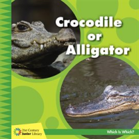 Crocodile_or_Alligator