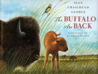 The_Buffalo_are_Back