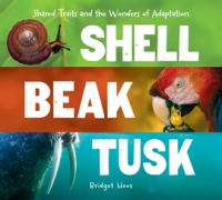 Shell__Beak__Tusk